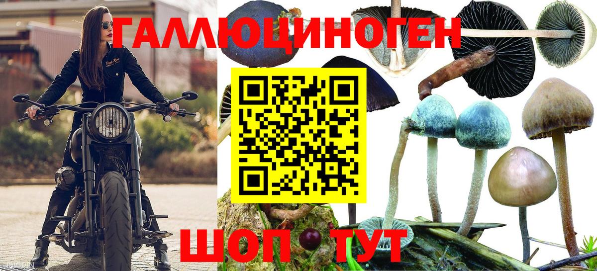 Псилоцибиновые грибы MAGIC MUSHROOMS Сибай