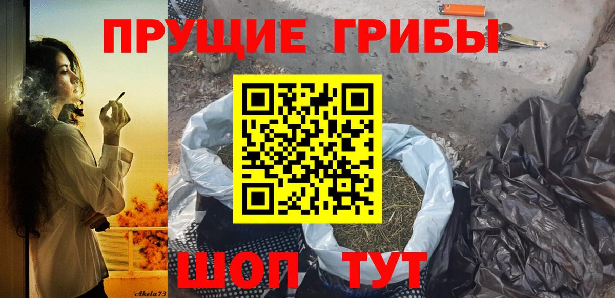 Сибай  Псилоцибиновые грибы прущие грибы  Вход с VPN 