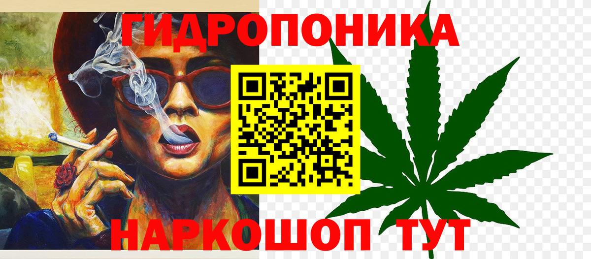 Марихуана OG Kush Сибай